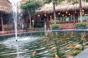 Harga Franchise Bebek Kanoman Franchise Bebek Kanoman